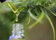 Four Common Misconceptions about CBD