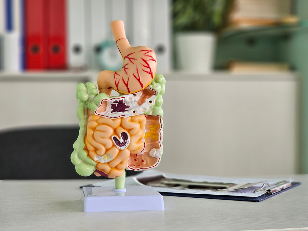 acupuncture and the gut-brain connection